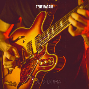 Tere Bagair