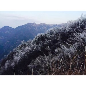 朱静雅 - 我要唱一首歌给你