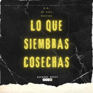 LO QUE SIEMBRAS COSECHAS (feat. DEIVIDC)