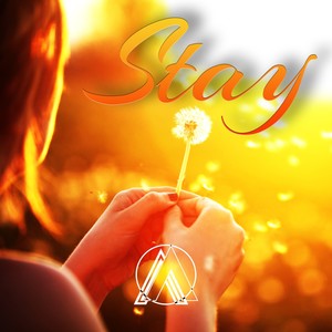 Stay