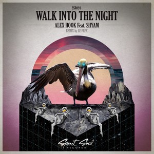 Walk Into The Night (Le Flex Remix)