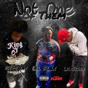 not one of them (feat. lil flex & lilscarr) (Explicit)