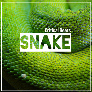 Snake (Battaglia Giuseppe Mix)