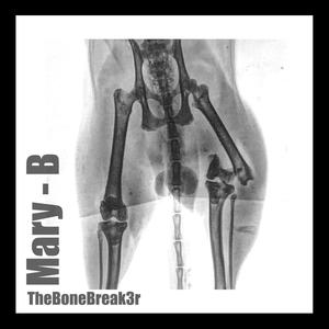 The Bone Break3r