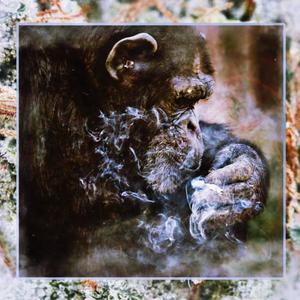 fog (feat. JThousand) (Explicit)