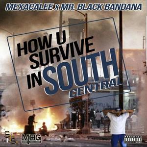 South Central (feat. Mr. Black Bandana) [Explicit]