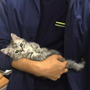 做我的小公主吧