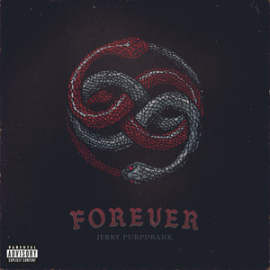 Forever (Explicit)