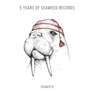 5 years of Seaweed Records