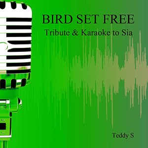 Bird Set Free: Tribute & Karaoke to Sia