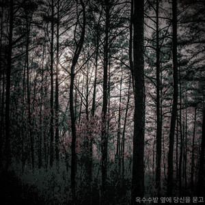 옥수수밭 옆에 당신을 묻고 (将你埋在玉米地旁边)