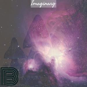 Imaginary