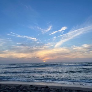 take the time(ty sauce)