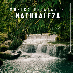 Fundo Musical Suave (TraxLab Version)