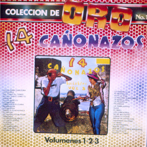 Colección de Oro de 14 Cañonazos Bailables (Vol. 1-3)