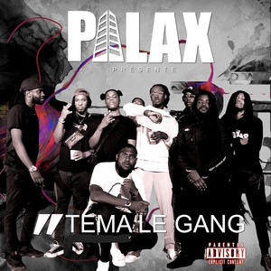 Tema Le Gang (Explicit)