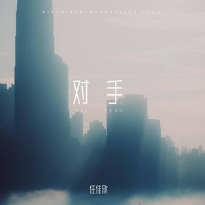 对手