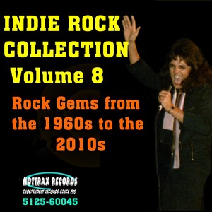 Indie Rock Collection, Vol. 8: Rock Gems from the 1960s to the 2010s