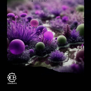 Saturday Night Control