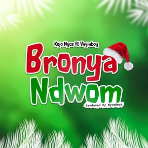 Bronya Ndwom