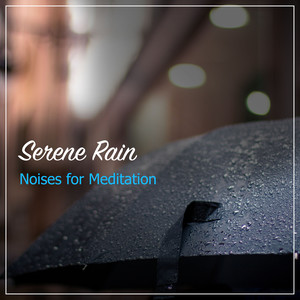 #20 Serene Rain Noises for Meditation