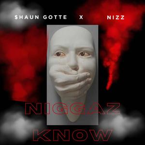Niggaz Know (feat. Nizz) (Explicit)
