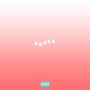 Feels (feat. Tay Ali) [Explicit]