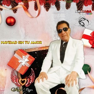 Navidad Sin Tu Amor