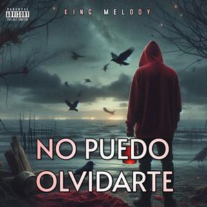 No Puedo Olvidarte