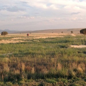 I walked her home, for the last time