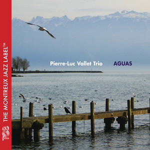 Nostos Algos
