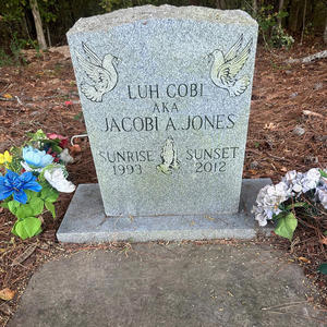 WHY (2015) (feat. Diara Jaye & Big Al) (Explicit)