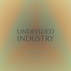 Undivided Industry