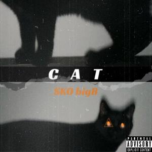 CAT (Explicit)