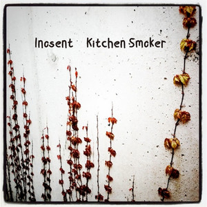 Kitchen Smoker