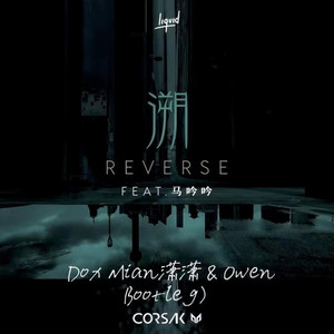 CORSAK胡梦周-3.0 溯 (Dox Mian潇潇 & OWEN Bootleg)