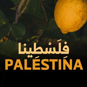 Palestina (feat. Lorenzo Grassi)