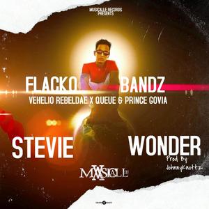 Stevie Wonder (feat. Vehelio rebeldae, Queue & Prince Govia) [Explicit]