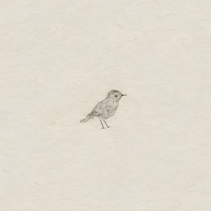 A Small Bird
