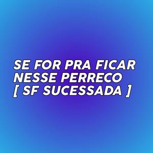 SE FOR PRA FICAR NESSE PERRECO (Explicit)