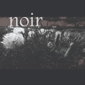 Noir (Explicit)