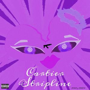 Cartier Stripline (Explicit)