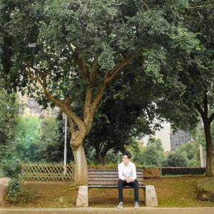 我只在意你的春与夏