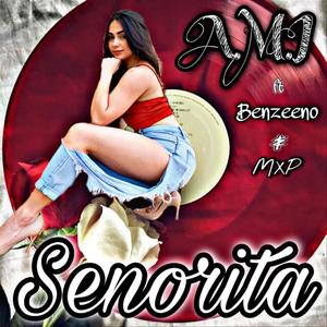 Senorita (feat. Benzeeno & MXP)