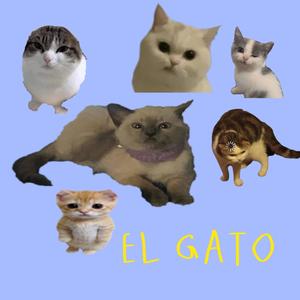 El Gato