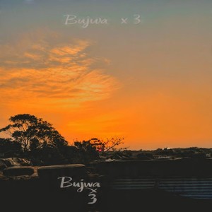 Bujwa x3