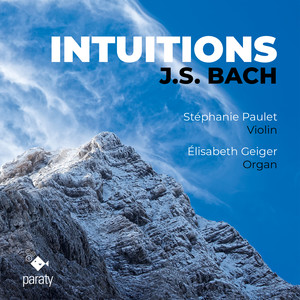 Sonata IV in E Minor, BWV 528: II. Andante (Arr. for Violin & Organ)