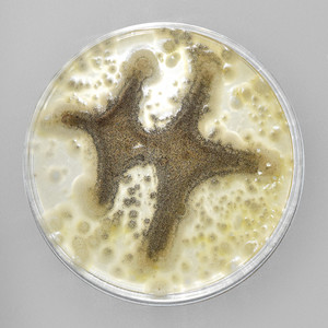 Hands On My Hips Like A Sheriff (Explicit)