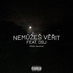 NEMŮŽEŠ VĚŘIT (feat. DSJ) (Explicit)