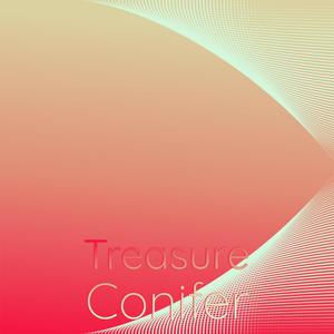 Treasure Conifer